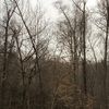 jennifer_ayres